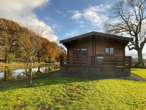 a small cabin in a park with a pond at RedWood Lodge in Ludlow