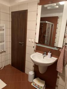 Koupelna v ubytování Apartmán SOŇA + 17 fotografií
