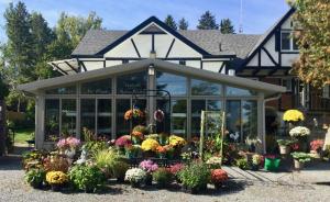 ピーターボロにあるBurley's Executive Garden Suiteの花々が咲き誇る温室
