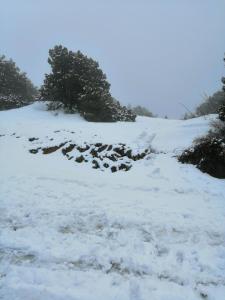 Una colina cubierta de nieve con árboles. en Kalamospito Holiday House, en Kalokhorio