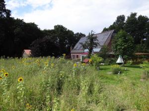 a field of sunflowers in front of a house at Hof Sonnengold in Osterholz-Scharmbeck