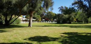 Afbeelding uit fotogalerij van Stellamar Apart Hotel in La Serena