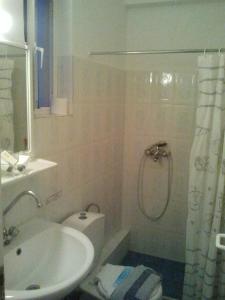 La salle de bains est pourvue d'un lavabo, de toilettes et d'une douche. dans l'établissement Akteon Hotel, à Logaras