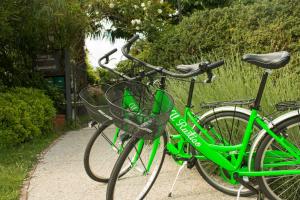 Attività di ciclismo presso l'affittacamere o nelle vicinanze