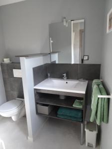 La salle de bains est pourvue d'un lavabo blanc et de toilettes. dans l'établissement Maison d'Hôtes Le Cep d'Or Alsace, à Saint-Hippolyte