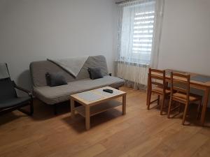 - un salon avec un canapé et une table dans l'établissement APARTAMENTY Kudowa Zdrój - Słone, à Kudowa-Zdrój