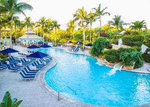 a pool at a resort with blue chairs and palm trees at Naples Grande Beach Resort in Naples
