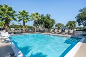 a swimming pool with chairs and palm trees at Quality Inn & Suites Leesburg Chain of Lakes in Leesburg