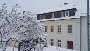 a snow covered tree in front of a building at Ferienwohnungen Altstadtherz in Annaberg-Buchholz
