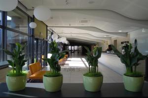 Fotografia z galérie ubytovania Hotel Poznański A2 v Poznani