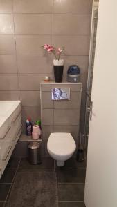 een kleine badkamer met een toilet en een wastafel bij Chez marilyn in Deauville