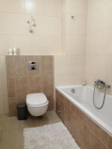 a bathroom with a toilet and a bath tub at Apartament Pohulanka in Gdańsk
