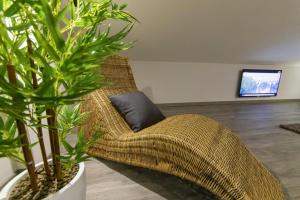 a couch in a living room with two potted plants at Panoramic penthouse in the historical center in Domodossola