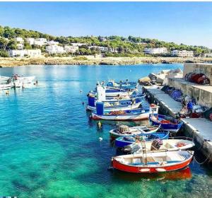 a group of boats are docked in the water at Hotel Corallo in Santa Maria al Bagno