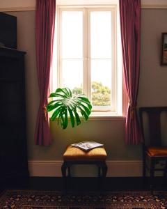 a window with a potted plant in a room at Boscobel of Tasmania in Ulverstone