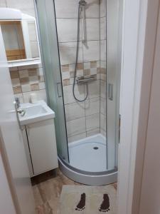 uma casa de banho com um chuveiro e um lavatório. em Apartman ANA em Slavonski Brod