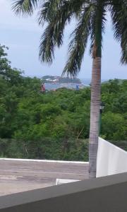 a palm tree and a view of the ocean at PuntaGaviota in Santa Cruz Huatulco