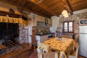Majoituspaikan The Istrian Stone House keittiö tai keittotila