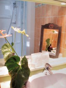 a plant sitting on a bathroom sink in front of a mirror at Logis Hôtel Auberge De L'ecole in Pontlevoy