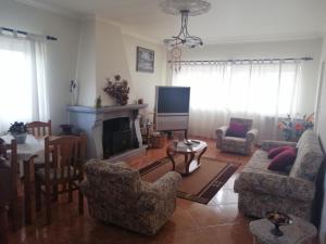 a living room with a couch and a fireplace at Residencial Mira-Sol in Seia