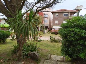 una palmera en el patio de una casa en Chalet Ymaz en Villa Gesell