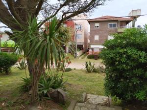 a palm tree in the yard of a house at Chalet Ymaz in Villa Gesell