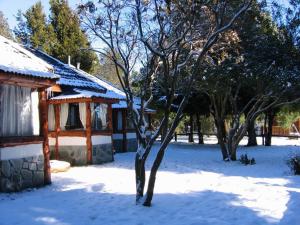 a snow covered yard next to a house with trees at Ayres del Lago in San Carlos de Bariloche