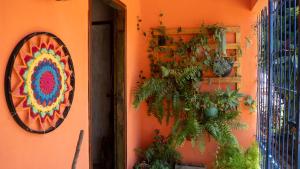 Casa di Vó外面的花园
