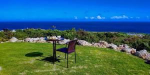 una mesa con una silla azul sentada en un campo con el océano en Hanalee Villa Kouri, en Nakijin