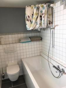 a bathroom with a toilet and a bath tub at Haus Rothenberg - Wohnung Su in Nohfelden