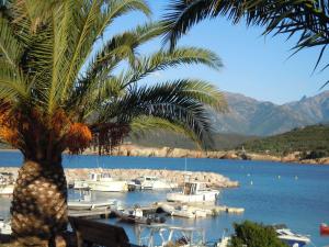 a palm tree and boats in a body of water at Roc A Mare in Galeria