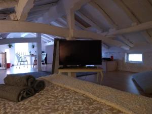 Amets house في بلباو: غرفة معيشة كبيرة مع تلفزيون بشاشة مسطحة