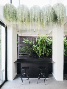 a bar with two stools in a room with plants at Loyy Hotel in Chiang Mai