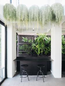 un bar con dos taburetes en una habitación con plantas en Loyy Hotel en Chiang Mai