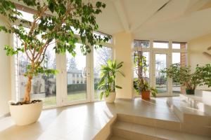 Zahrada ubytování Hotel Vita