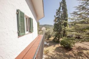 a balcony of a house with a green window at Villa Sibilla - Goelba in Procchio