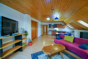 - un salon avec un canapé et une télévision dans l'établissement Penzion Fantazia, à Poprad