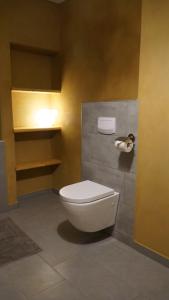 ein Bad mit einem weißen WC in einem Zimmer in der Unterkunft Pension zum Hirschstein in Greiz