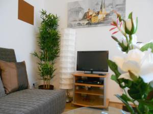 Apartments Hofgarten في ريغنسبورغ: غرفة معيشة مع تلفزيون وأريكة