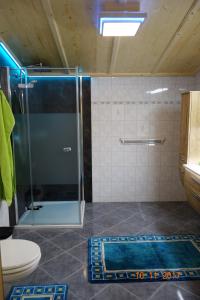 a bathroom with a shower and a toilet at Landhaus Dangl in Fliess +30 photos