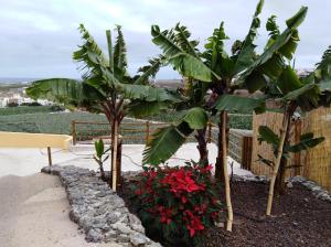 Vonkajšia záhrada v ubytovaní Costa Verde - Nature Views Terrace - Parking