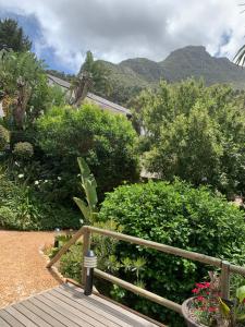 een houten promenade die leidt naar een tuin met struiken en bomen bij Ikhaya Safari Lodge in Kaapstad