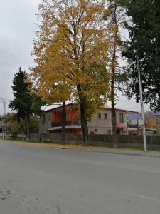 Bližnja soseska oz. soseska, v kateri se nahaja prenočišče