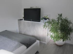 a living room with a tv and two potted plants at 1-Luxus am Rande von Wien in Groß-Enzersdorf