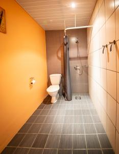 a bathroom with a toilet and a shower at Hotel Liilia in Käina