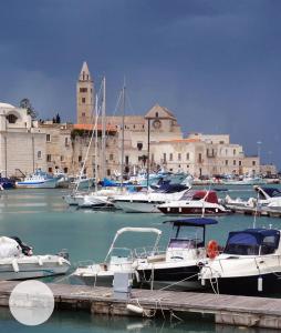 Ein paar Boote sind in einem Hafen angedockt. in der Unterkunft I Colori della Puglia Rooms in Trani