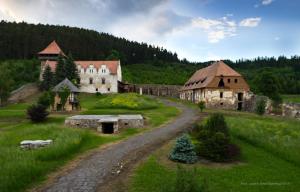 a house on a green field with a dirt road at Csergő Ildikó vendégház in Lăzarea