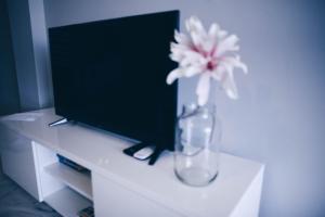 TV a/nebo společenská místnost v ubytování APARTMENT LA CALA DREAM & SEA VIEW