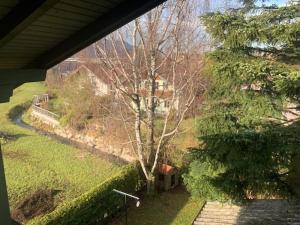 Zahrada ubytování Haus Kaindl