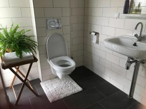 a bathroom with a toilet and a sink at Klein Garnwerd 9 in Garnwerd